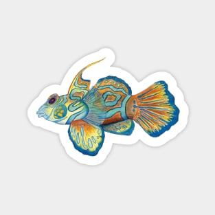 Dragonet Fish Sticker